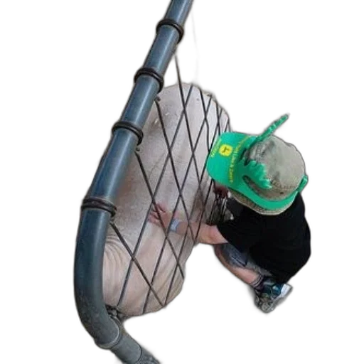 hat, animal, creature, staff transparent PNG cut-out