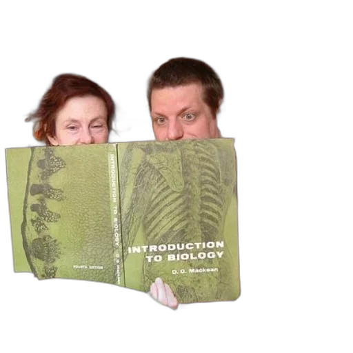 creature, forest, man, woman transparent PNG cut-out