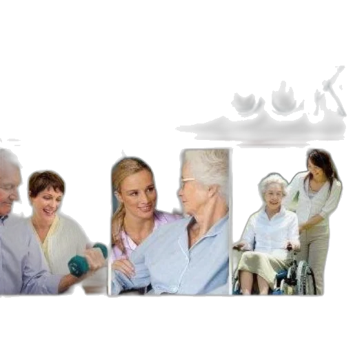 staff, caregiver, handbook, practical transparent PNG cut-out