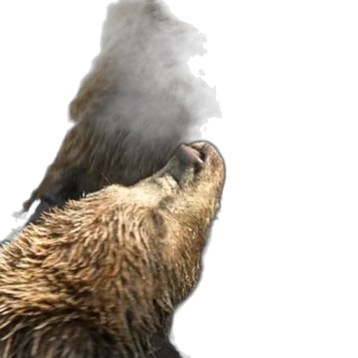 animal, photorealistic, 3d render, concept art transparent PNG cut-out