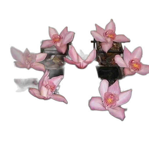 jewelry, flower, crown, robot transparent PNG cut-out