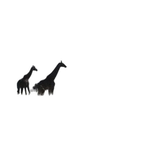 animal, creature, dragon, staff transparent PNG cut-out