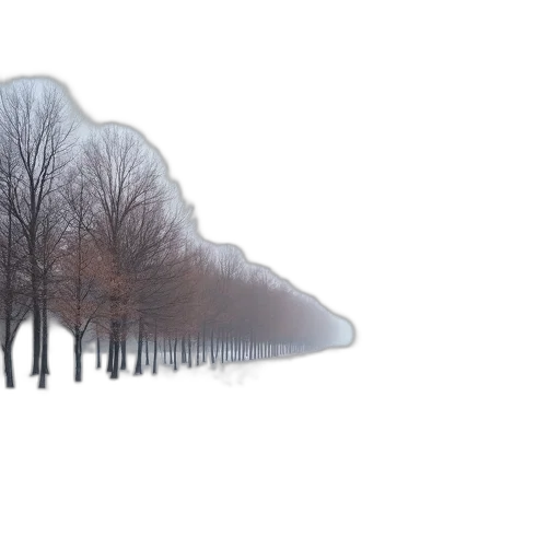 tree, hat, umbrella, face transparent PNG cut-out