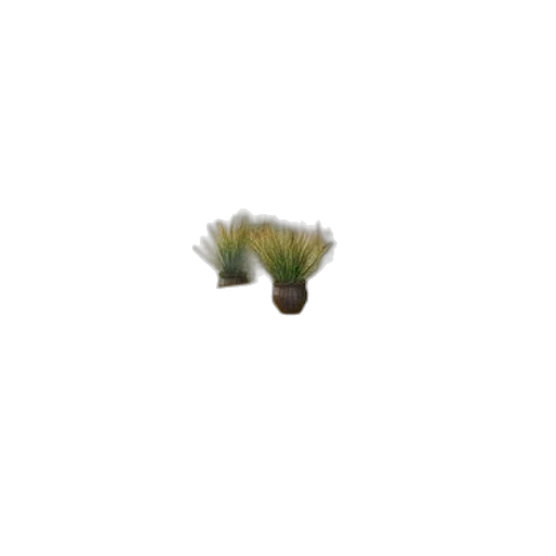 flower, hair, tree, crown transparent PNG cut-out
