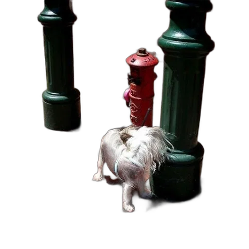 bottle, animal, staff, crown transparent PNG cut-out