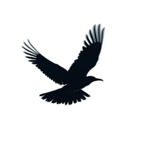 animal, staff, jacket, crown transparent PNG cut-out
