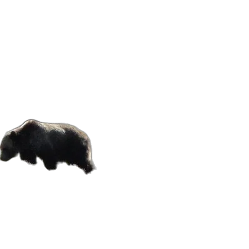 hair, animal, hat, mask transparent PNG cut-out