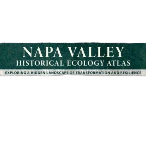 animal, napa, valley, historical transparent PNG cut-out