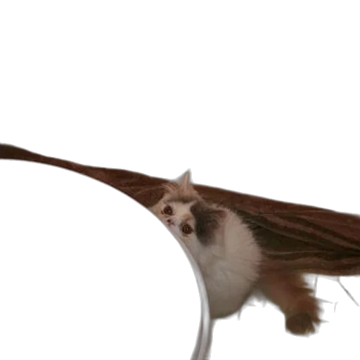 dragon, animal, creature, staff transparent PNG cut-out