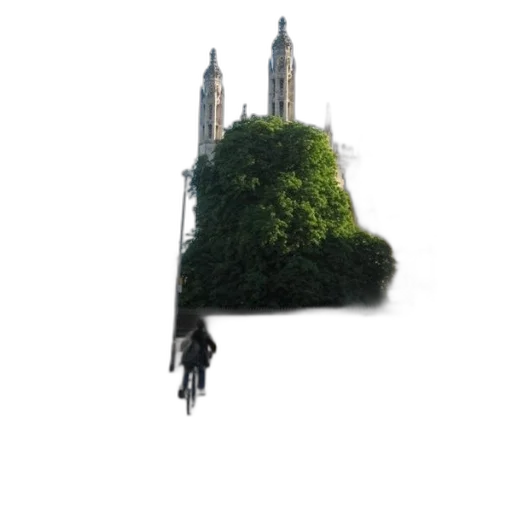 tree, umbrella, hair, crown transparent PNG cut-out