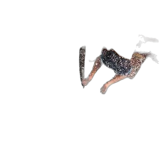 dragon, creature, animal, hair transparent PNG cut-out