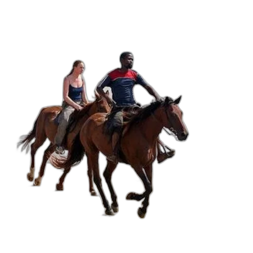 animal, furniture, car, creature transparent PNG cut-out