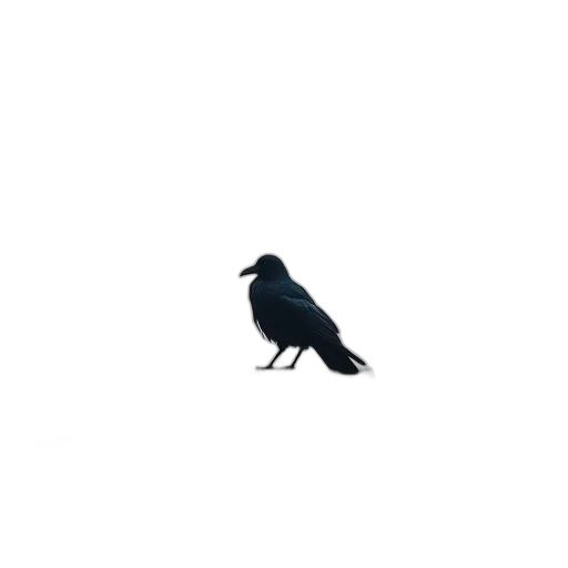 animal, creature, dress, shoes transparent PNG cut-out