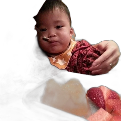 food, creature, face, dragon transparent PNG cut-out
