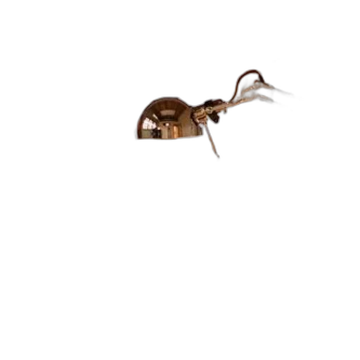 animal, creature, staff, furniture transparent PNG cut-out