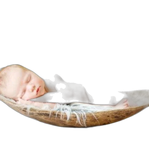 hat, hair, crown, shoes transparent PNG cut-out