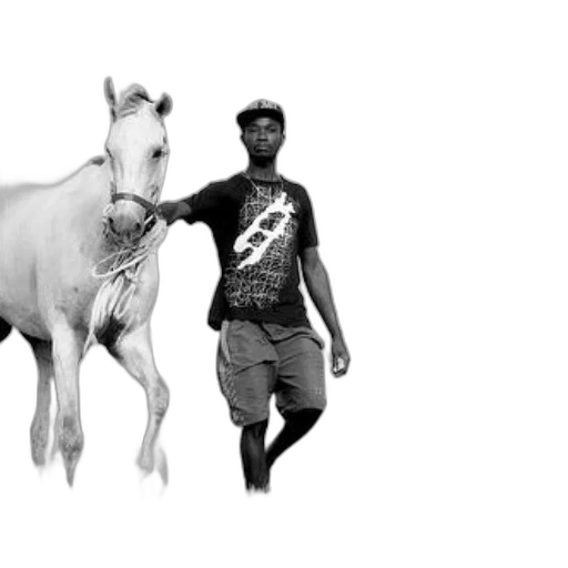 animal, creature, concept art, photorealistic transparent PNG cut-out