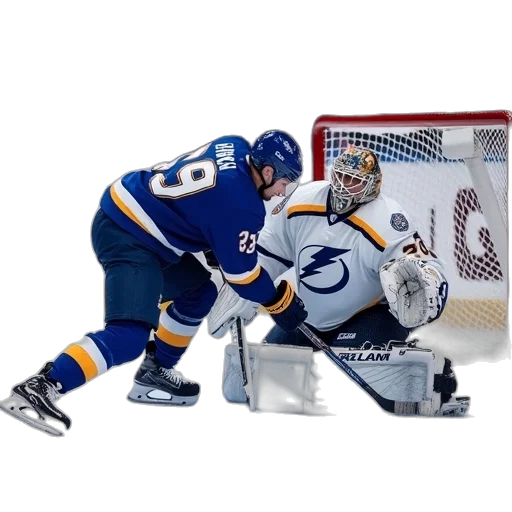 animal, tampa, bay, lightning transparent PNG cut-out