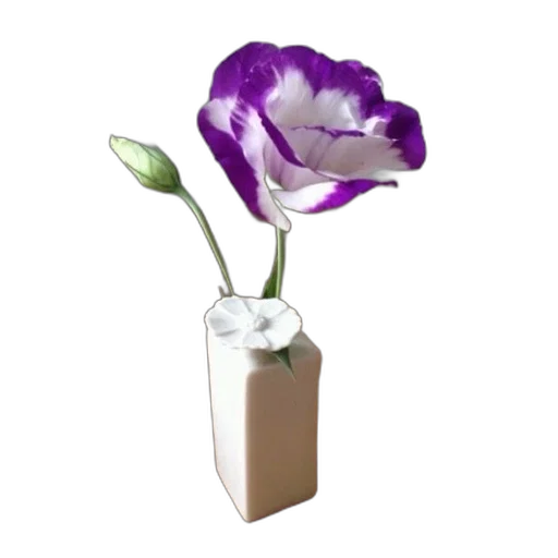 flower, bottle, crown, furniture transparent PNG cut-out