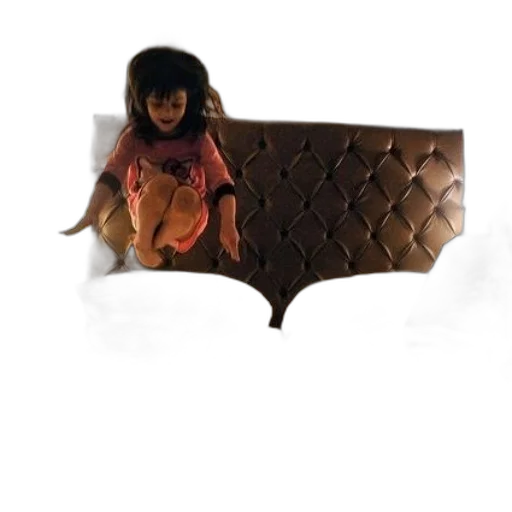 furniture, animal, creature, shoes transparent PNG cut-out