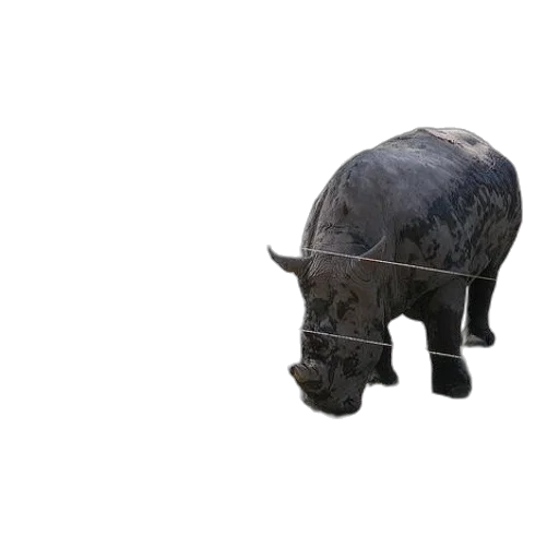 animal, creature, weapon, face transparent PNG cut-out