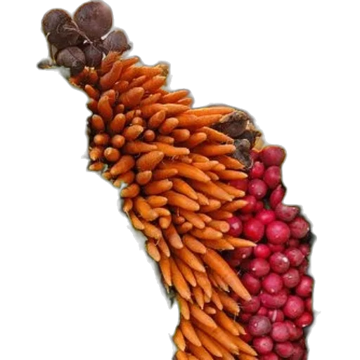 hair, food, jewelry, staff transparent PNG cut-out
