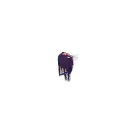 animal, creature, robot, hair transparent PNG cut-out