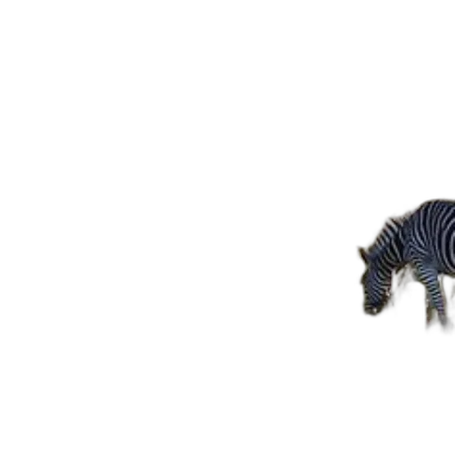 animal, creature, dragon, jewelry transparent PNG cut-out