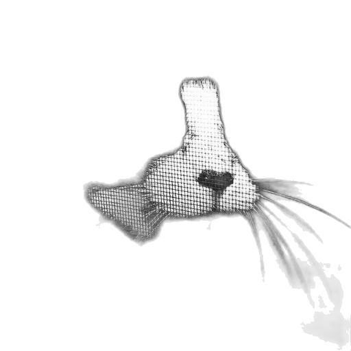 animal, mask, creature, hat transparent PNG cut-out