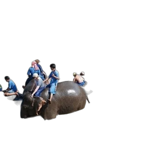 animal, staff, concept art, people transparent PNG cut-out