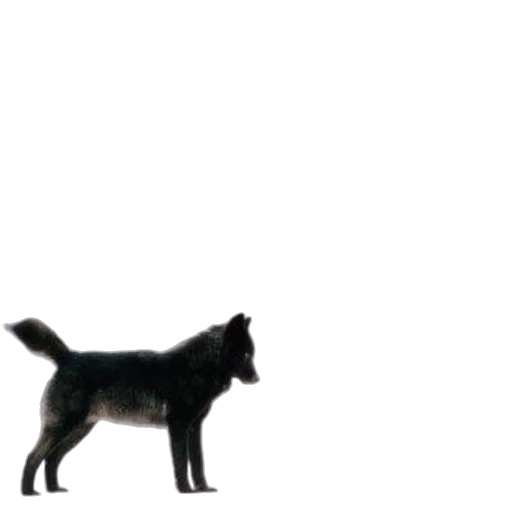 animal, creature, staff, weapon transparent PNG cut-out