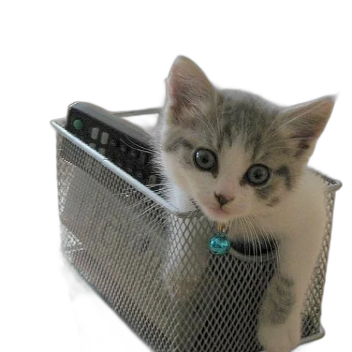 animal, robot, creature, curious transparent PNG cut-out