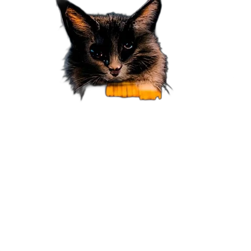 animal, staff, weapon, creature transparent PNG cut-out