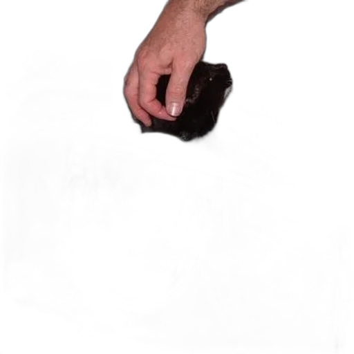 shoes, staff, weapon, bottle transparent PNG cut-out