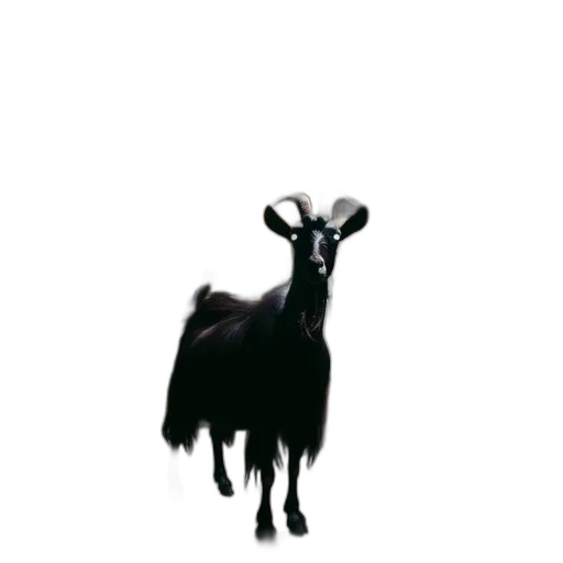 animal, creature, staff, hair transparent PNG cut-out
