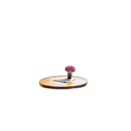 jewelry, furniture, flower, umbrella transparent PNG cut-out