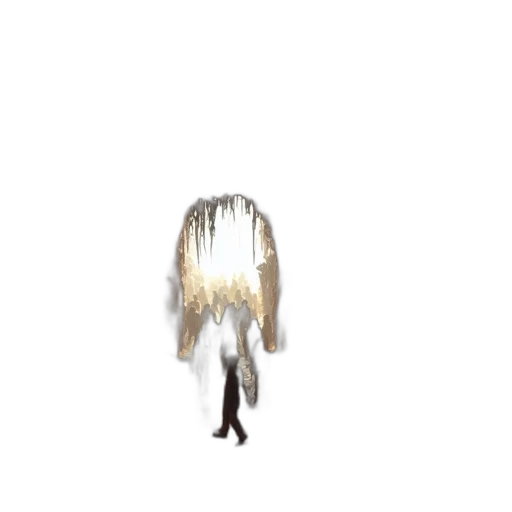 hair, mask, crown, jewelry transparent PNG cut-out