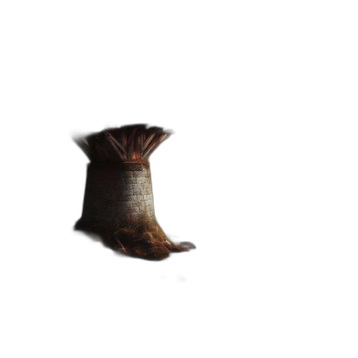hat, crown, shoes, bottle transparent PNG cut-out