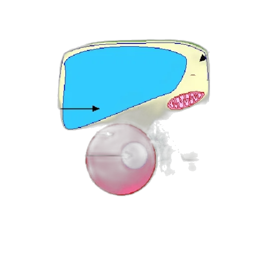 mask, jewelry, weapon, face transparent PNG cut-out