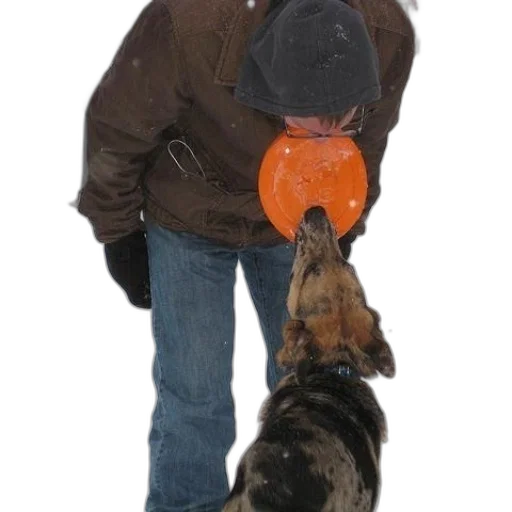 hat, staff, mask, animal transparent PNG cut-out