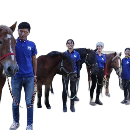 staff, animal, group, people transparent PNG cut-out
