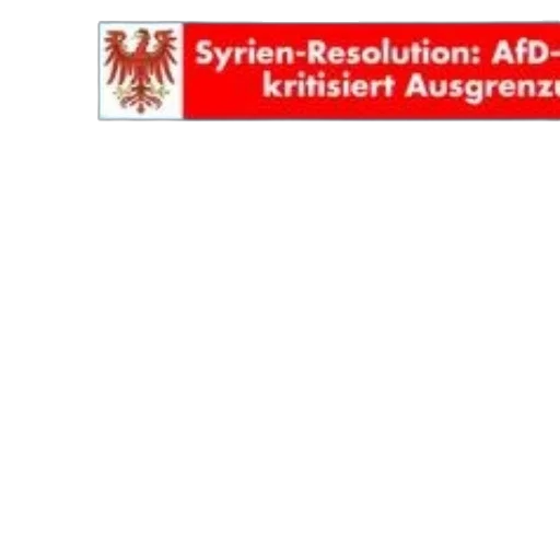 political, advertisement, afd, brandenburg transparent PNG cut-out