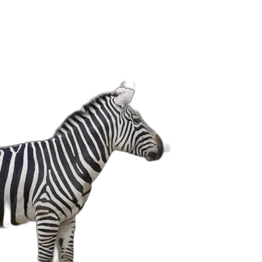 animal, creature, hat, 3d render transparent PNG cut-out