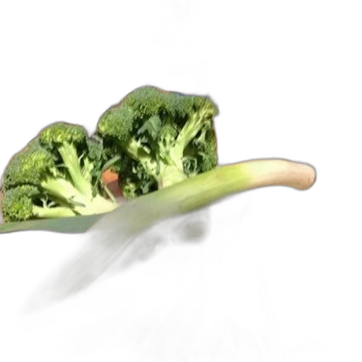 food, animal, weapon, creature transparent PNG cut-out