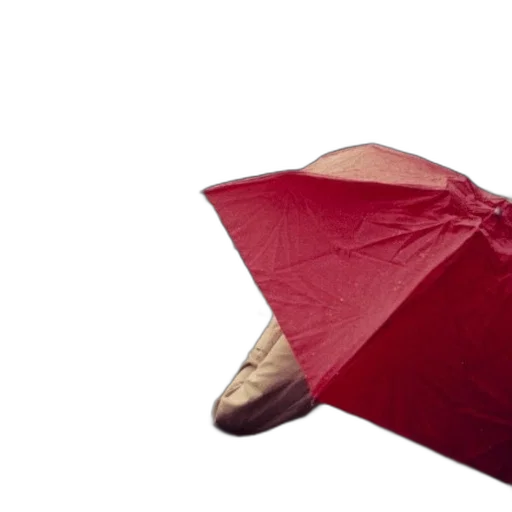 umbrella, hat, shoes, jacket transparent PNG cut-out