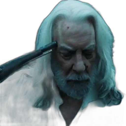 staff, sword, face, hair transparent PNG cut-out