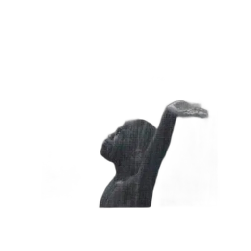 animal, hat, mask, shoes transparent PNG cut-out