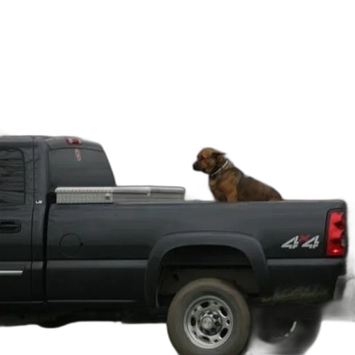 animal, car, dog, sits transparent PNG cut-out