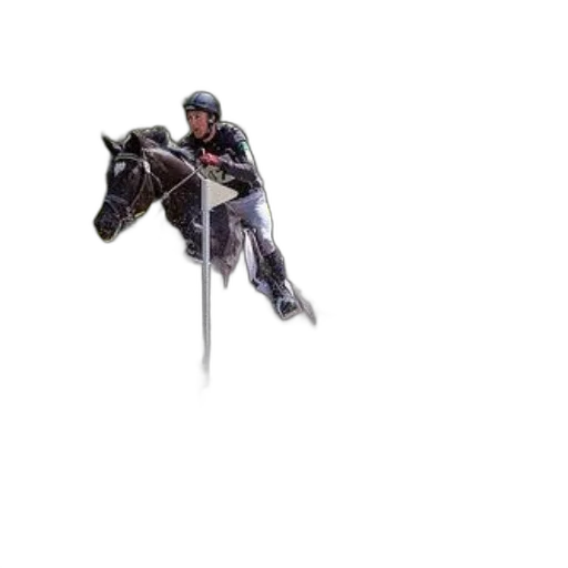 staff, sword, animal, weapon transparent PNG cut-out