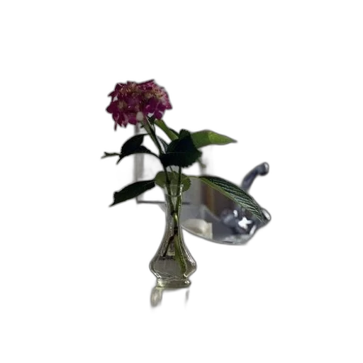 flower, jewelry, staff, crown transparent PNG cut-out